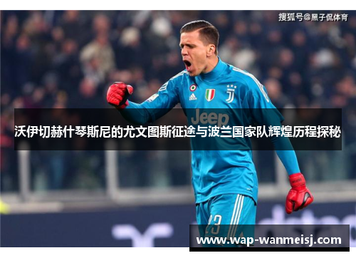 沃伊切赫什琴斯尼的尤文图斯征途与波兰国家队辉煌历程探秘