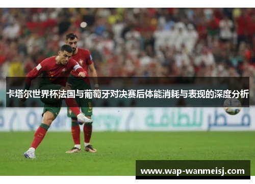 卡塔尔世界杯法国与葡萄牙对决赛后体能消耗与表现的深度分析