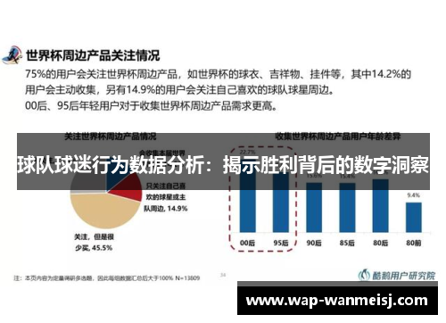球队球迷行为数据分析：揭示胜利背后的数字洞察