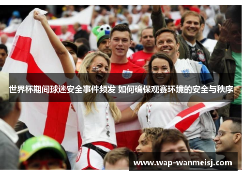 世界杯期间球迷安全事件频发 如何确保观赛环境的安全与秩序