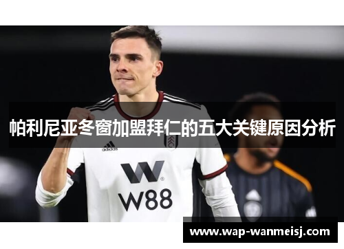 帕利尼亚冬窗加盟拜仁的五大关键原因分析