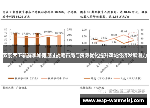 双羽天下新赛季如何通过战略布局与资源优化提升双城经济发展潜力