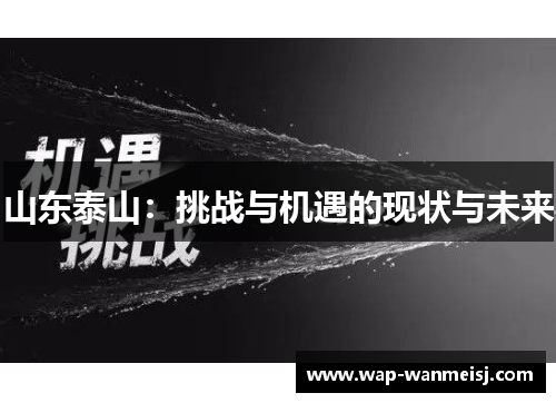 山东泰山：挑战与机遇的现状与未来