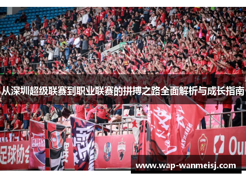 从深圳超级联赛到职业联赛的拼搏之路全面解析与成长指南