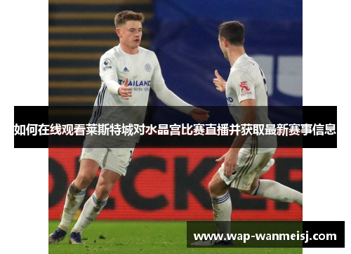 如何在线观看莱斯特城对水晶宫比赛直播并获取最新赛事信息