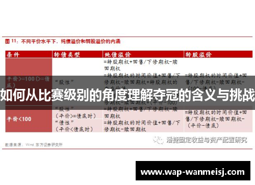 如何从比赛级别的角度理解夺冠的含义与挑战